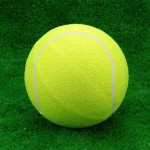 Мяч для большого тенниса самый дешёвый s-dostavka - магазин СпортДоставка. Спортивные товары интернет магазин в Волжском 