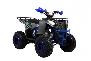Квадроцикл Wels ATV THUNDER EVO 125 s-dostavka Серый - магазин СпортДоставка. Спортивные товары интернет магазин в Волжском 