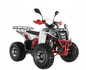 Квадроцикл Wels ATV THUNDER EVO 125 Х s-dostavka Белый - магазин СпортДоставка. Спортивные товары интернет магазин в Волжском 